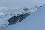 Grnland im Winter