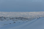 Grnland im Winter