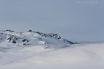Grnland im Winter