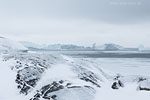 Grnland im Winter