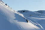 Grnland im Winter