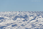 Grnland im Winter