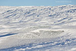 Grnland im Winter