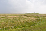 Hallig Grde