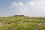 Hallig Grde