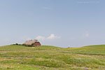 Hallig Grde