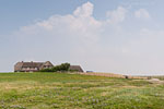 Hallig Grde