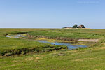 Hallig Hooge