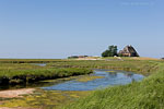 Hallig Hooge