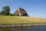 Hallig Hooge