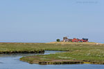 Hallig Hooge