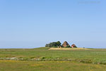 Hallig Hooge