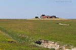 Hallig Hooge
