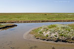 Hallig Hooge