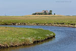 Hallig Hooge