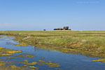 Hallig Hooge