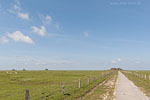 Hallig Nordstrandischmoor