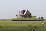 Hallig Nordstrandischmoor