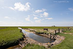 Hallig Nordstrandischmoor