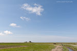 Hallig Nordstrandischmoor