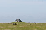 Hallig Nordstrandischmoor