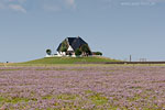 Hallig Nordstrandischmoor