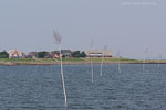 Hallig Oland