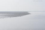 Nordfriesische Halligwelt
