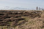 Heide Landschaft