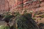 Hochseeinsel Helgoland