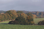 Herbst