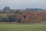 Herbst