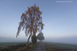 Herbst