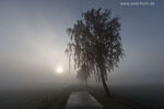 Herbst
