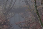Herbst