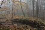Herbst