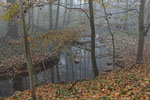Herbst