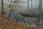 Herbst