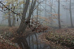 Herbst