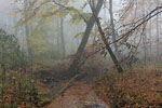 Herbst