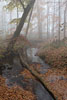 Herbst