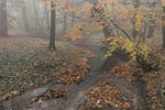 Herbst