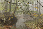 Herbst