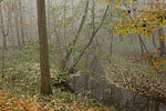 Herbst