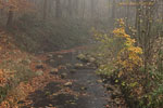 Herbst