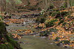 Herbst