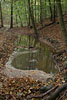 Herbst