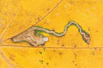 Herbst - Fantasievolles Laub