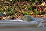 Herbst