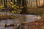 Herbst